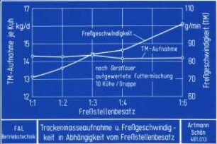 Trockenmasseaufnahme und Freßgeschwindigkeit in Abhängigkeit vom Freßstellenbesatz (nach Gerstlauer)