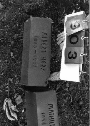 Grabstein 903 [Hahn S. 95 Grab-Nr. 1180]