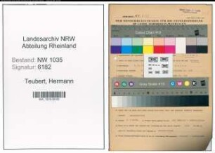 Entnazifizierung Hermann Teubert , geb. 04.01.1909 (Holzmeister)