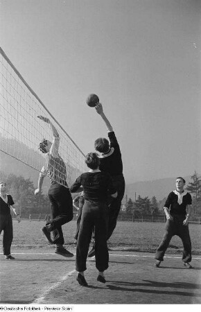 Drei springende Volleyballspieler am Netz auf dem Spielfeld der Sportschule