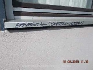 BAUER * TOMES * HEZER
