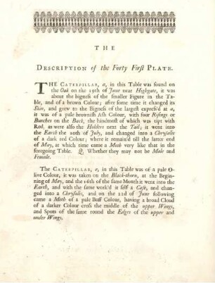 The Description of the Forty First Plate