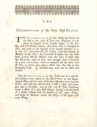 The Description of the Forty First Plate