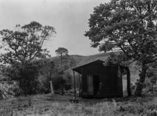 Holzhütte : Holzhütte im Schatten eines Baumes