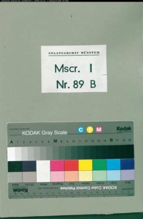 Abschriften von Urkunden und Statuten des Kollegiatstifts Beckum