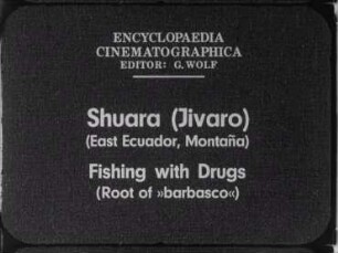 Shuara (Jívaro) (East Ecuador, Montaña) - Fishing with Drugs (Root of »barbasco«)