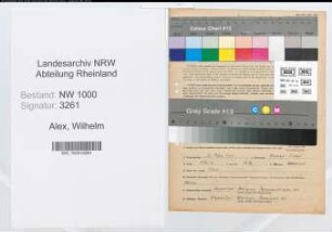 Entnazifizierung Wilhelm Alex, geb. 23.03.1901 (Pastor)