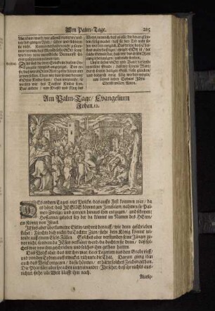 Am Palm-Tage/ Evangelium Johan.12.