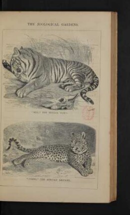 Tafel: The zoological gardens. [5]