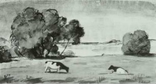 Wiesenlandschaft