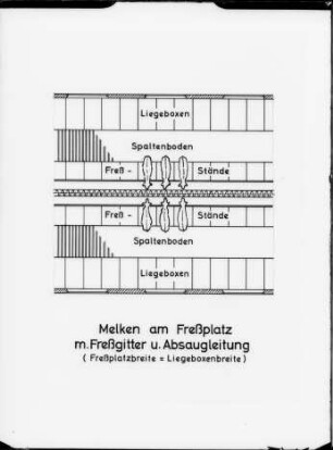 Melken am Freßplatz mit Freßgitter und Absaugleitung (Freßplatzbreite = Liegeboxenbreite)