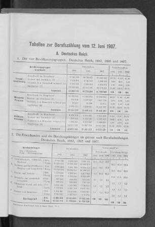 2. Die Erwerbenden und die Berufszugehörigen im ganzen nach Berufsabteilungen. Deutsches Reich, 1882, 1895 und 1907.
