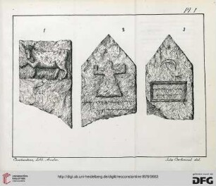 Planche I - XVI
