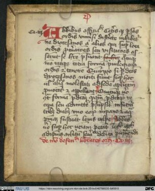 Reformatio Libelli definitionum ordinis Cisterciensis - UER MS 159 : Libellus novarum definitionum anno 1350