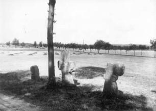 Kreuzstein und zwei Steinkreuze : Neschwitz, Kreuzstein mit Johanniterkreuz und zwei Steinkreuze (Lateinisches bzw. Tatzenkreuz) an einem Feldweg zur F 96 nordöstlich des Ortes