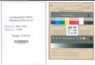 Entnazifizierung Antonie Rogge , geb. 30.10.1891 (Postbeamtin)