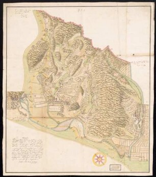 Topographia und eigentliche Vorstellung des Bannes der Herrschaft Berghaupten und aller dessen Grenzsteine, Lochbäume und anderen Grenzmarken