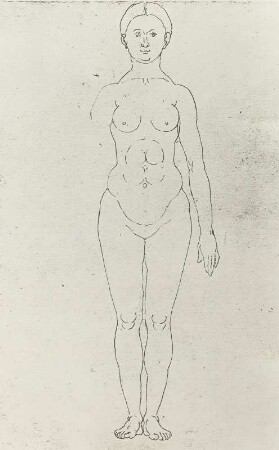 Frau ohne rechten Arm von vorn : Dresdner Skizzenbuch (1507/1528). Frau ohne rechten Arm von vorn (aus: R. Bruck: Das Skizzenbuch von Albrecht Dürer, Straßburg 1905, Tafel 73, Blatt 161 b, Str. 4, Kriegsverlust). Dresden: SLUB Mscr.Dresd.R.147.f