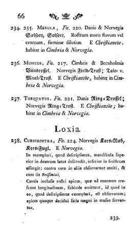 Loxia