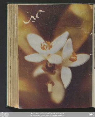 شماره هفتم آذر ماه ۱۳۴۴