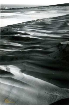 Landschaft an der Ostsee, Kurische Nehrung