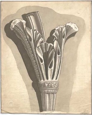Zocher, Ernst; Studienzeichnungen nach Gipsen - florales Ornament (Ansicht)