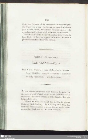 Trochus concavus. Tab. CLXXXI. --- Fig. 3