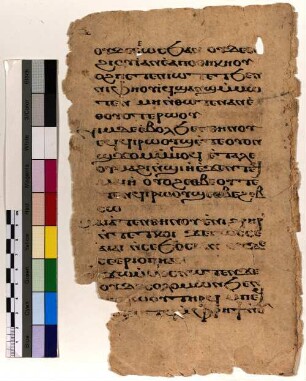 [2. Sonntag, Liturgie Mt 6,26*-29*]
