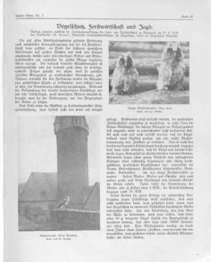 Vogelschutz, Forstwirtschaft und Jagd.