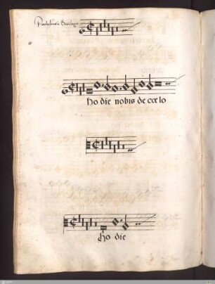 Partholomaeus Beaulaigne : Hodie nobis de coelo