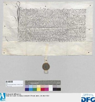 Lizentiat Johann Protzer von Nordling tritt neuerdings auf drei Jahre in die Dienste der Stadt Nürnberg.