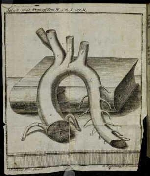 Select. med. Francof. Tom IV. Vol. I. art II.