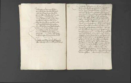 Zeitungsnachrichten über Religionsangelegenheiten in Frankreich, den geplanten Zug des französischen Königs Karl IX. nach Deutschland, Gerüchte über eine Beteiligung des Hauptmanns von Toul an der Ermordung des Heinrich von Ulm sowie die militärischen Werbungen des von Berthi für Louis I. de Bourbon, Fürst von Condé.