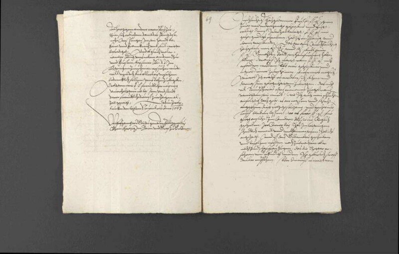 Zeitungsnachrichten über Religionsangelegenheiten in Frankreich, den geplanten Zug des französischen Königs Karl IX. nach Deutschland, Gerüchte über eine Beteiligung des Hauptmanns von Toul an der Ermordung des Heinrich von Ulm sowie die militärischen Werbungen des von Berthi für Louis I. de Bourbon, Fürst von Condé.