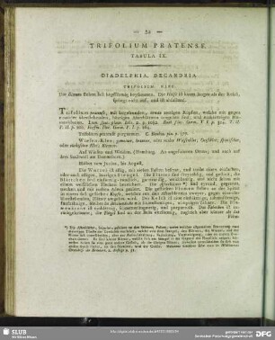 Trifolium Pratense. Tabula IX.