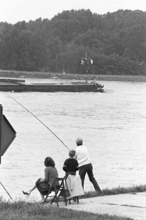 Angeln am Rhein