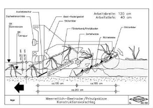 Meerrettich-Beetroder/ Prinzipskizze, Konstruktionsvorschlag