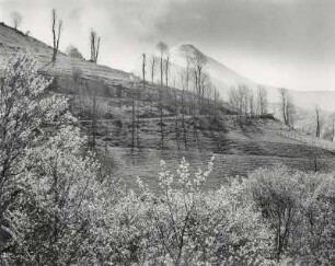 Frühlingslandschaft bei Monts du Chantal in der Auvergne