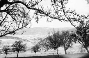 Wittnau: Blütenzweige vor Schauinsland