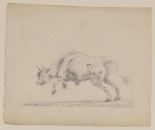 Springender Stier