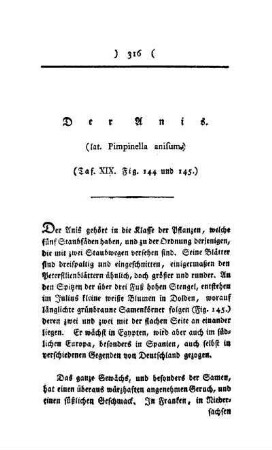 ¬Der¬ Anis : (lat. Pimpinella anifum) ; Taf. XIX, Fig. 144 und 145