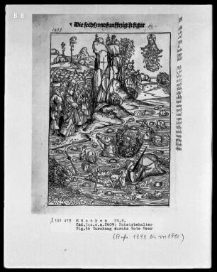 Schatzbehälter oder Schrein der waren reichtümer des heils und ewyger seligkeit genannt — Fig. 56, Durchzug durchs Rote Meer