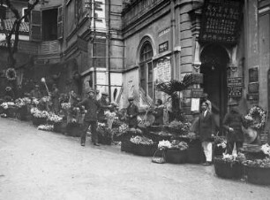 Blumenmarkt in Hongkong : Weltreisen. Blumenmarkt in Hongkong