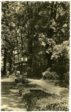 Riesa. Stadtpark