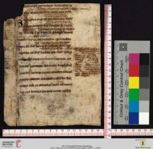 Biblia sacra