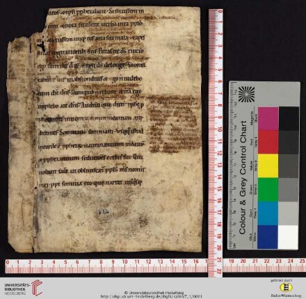 Biblia sacra
