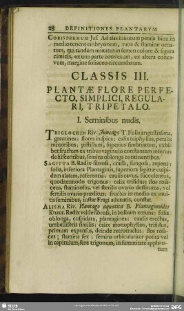 Classis III. Plantae Flore Perfecto, Simplici, Regulari, Tripetalo