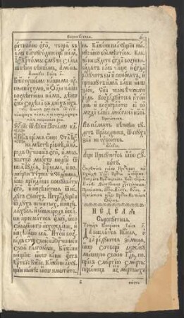 Nedelja syropustnaja