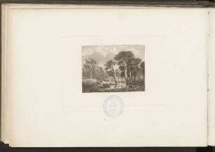 [Jacob von Ruysdael]