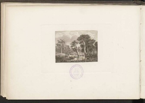 [Jacob von Ruysdael]